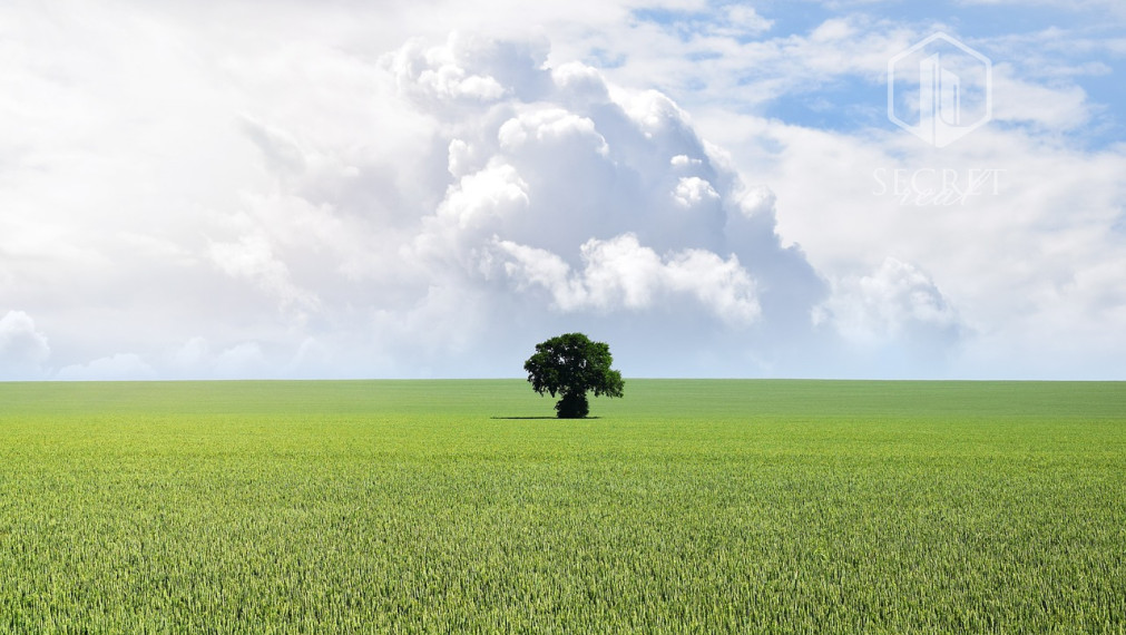 Secretreal, s.r.o. PREDÁ stavebný pozemok v Bratislave na polyfunkciu